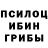 Галлюциногенные грибы Psilocybe Park Sohen