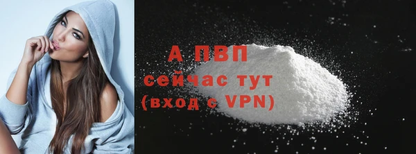 винт Елизово