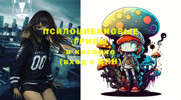 героин Елабуга