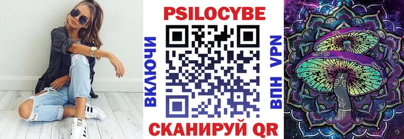 Галлюциногенные грибы Psilocybine cubensis  Долгопрудный 